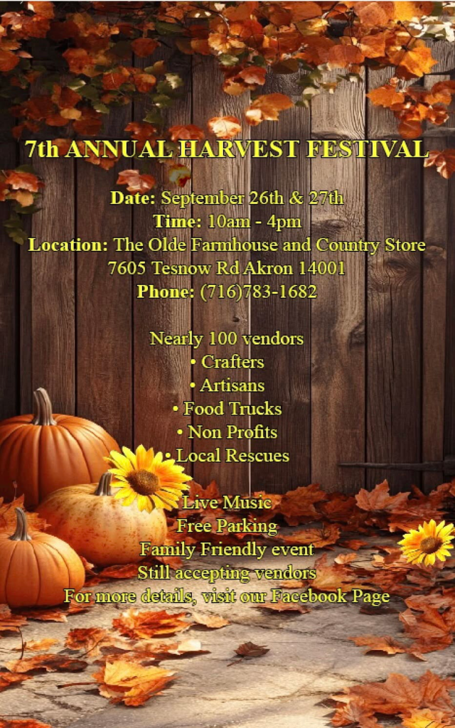7th Annual Harvest Festival